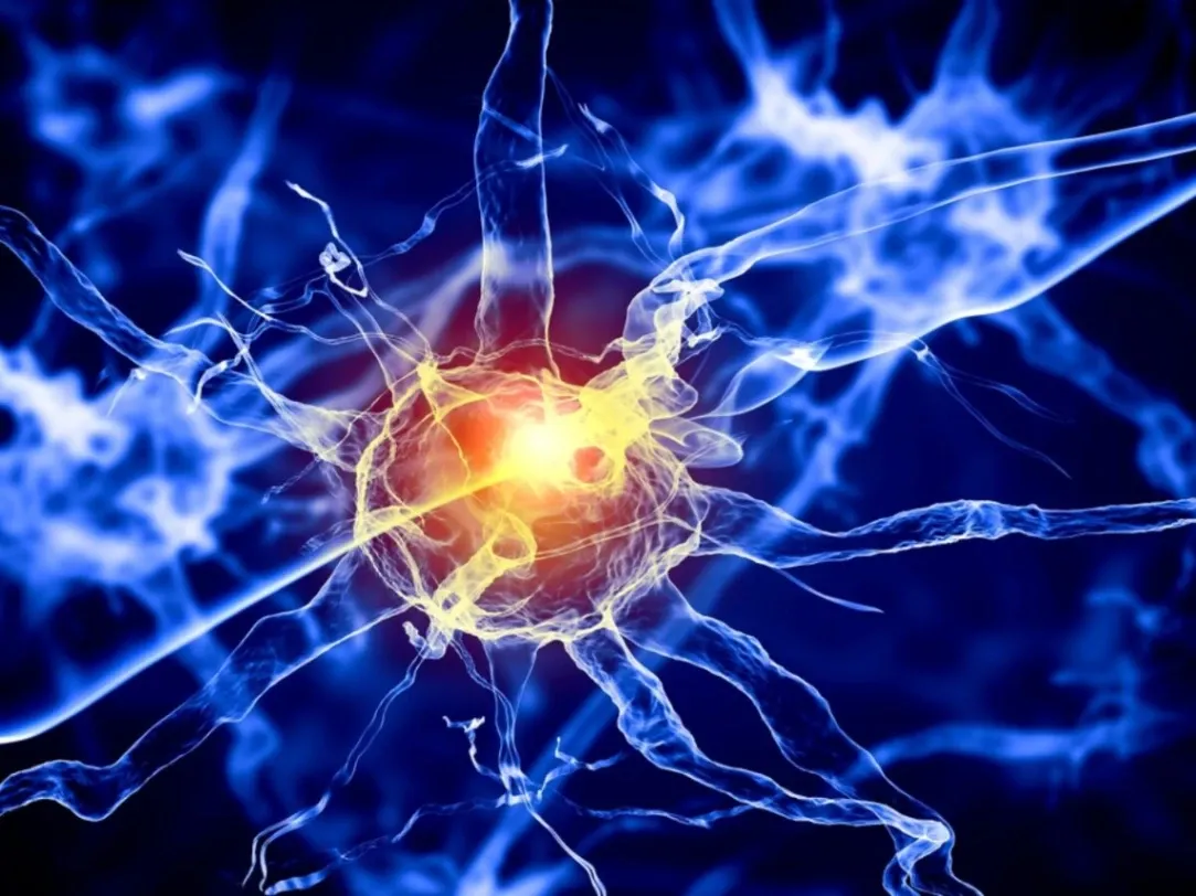 Knowing When to Stop Taking Kisunla (Donanemab-azbt) Therapy